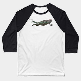Frog : Baseball T-Shirt